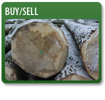 buy and sell trees