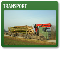 Transport bomen