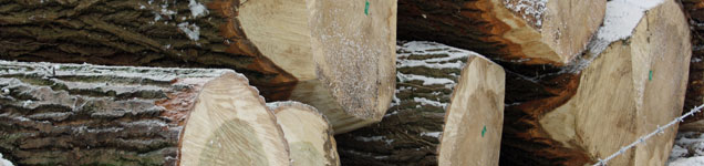 Verkoop bomen