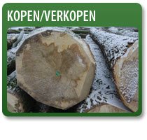 aankoop en verkoop bomen