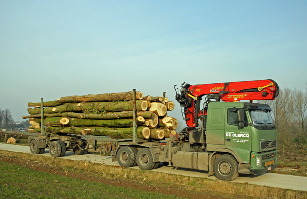 transport bomen 5